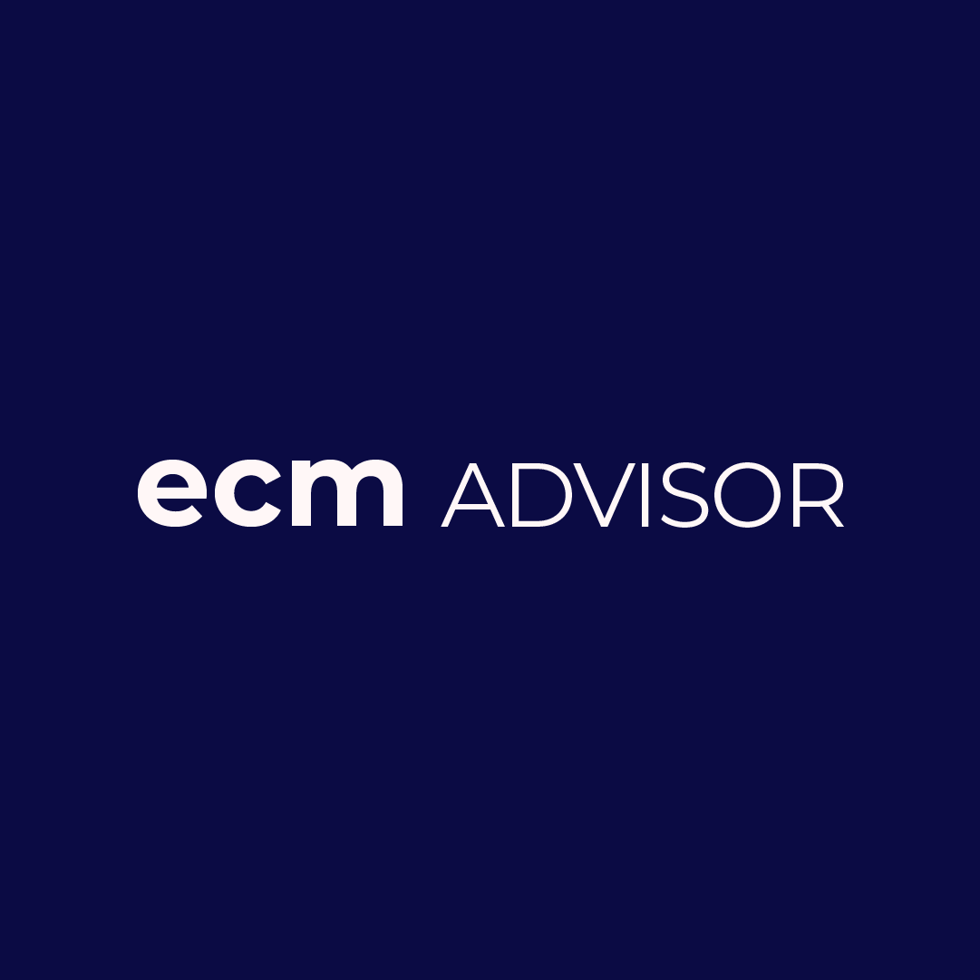 The Ecomm Manager Advisor